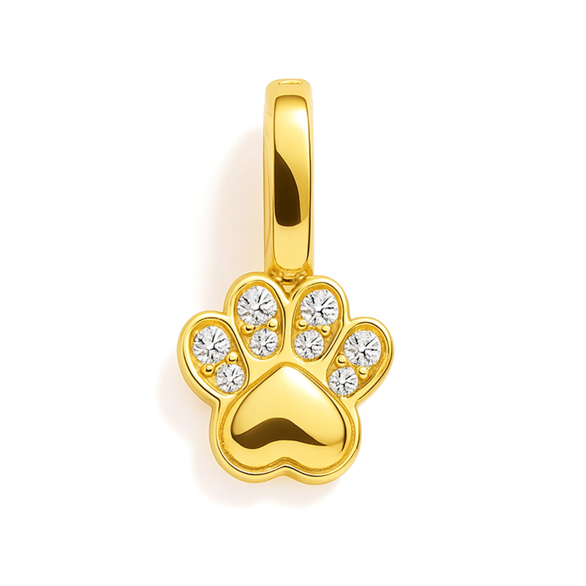 Charm - Patte
