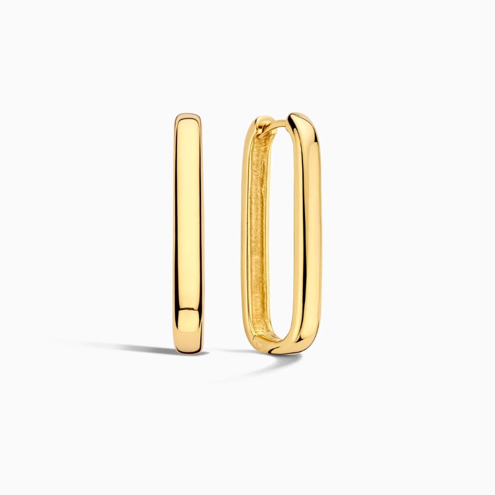 Icon Hoops