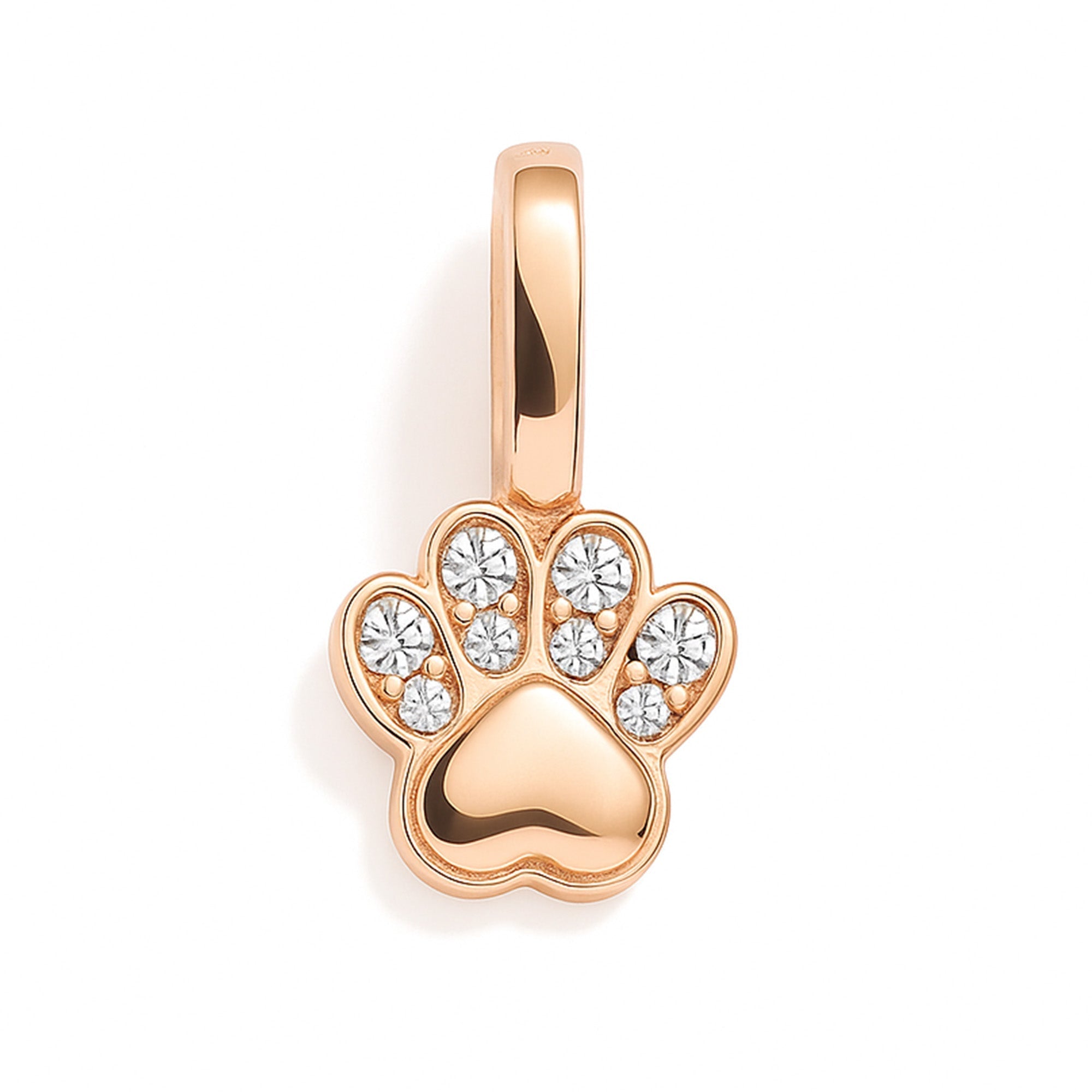 Charm - Patte